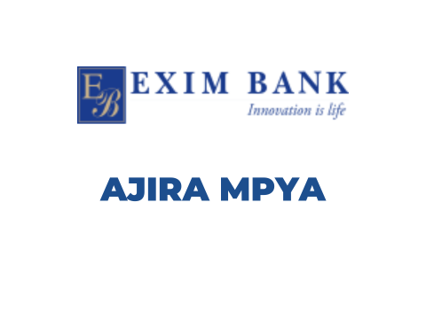 Exim Bank Tanzania Vacancies 2025