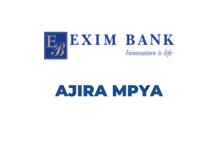Exim Bank Tanzania Vacancies 2025