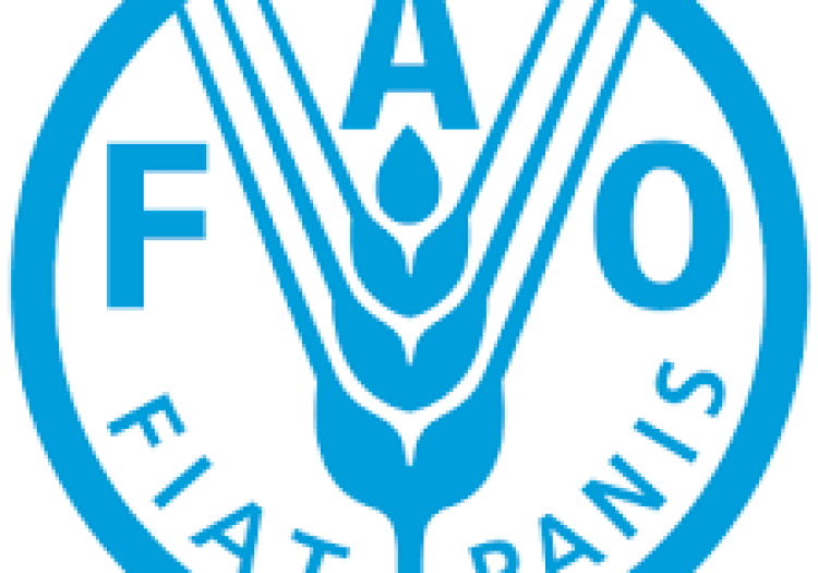 FAO Representative in Tanzania at FAO January 2026