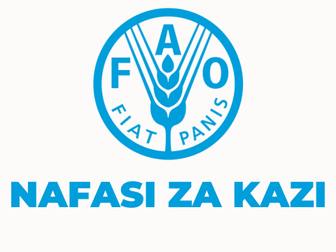 FAO Tanzania Vacancies 2025