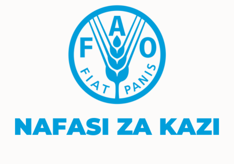 FAO Tanzania Vacancies 2025