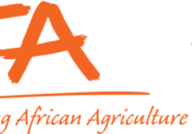 Field Assistant – 3 positions Mwanza, Geita at IITA February 2026