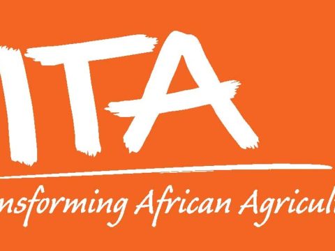 Field Facilitators – 3 positions Siha, Kilimanjaro at IITA February 2026
