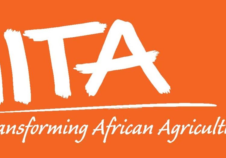 Field Technician at IITA February 2026