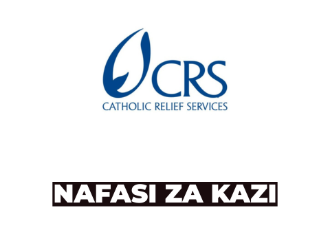 Finance Data Clerk Job Opportunities at Catholic Relief Services