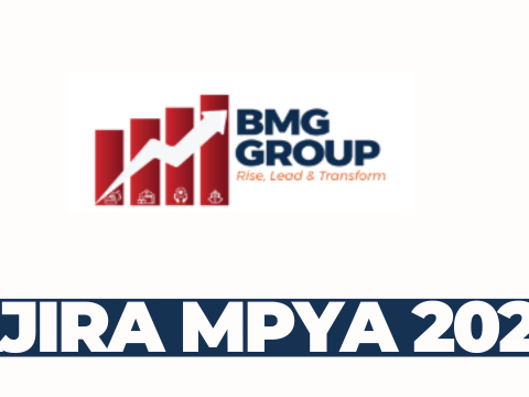 Finance Manager at BMG Group International Limited