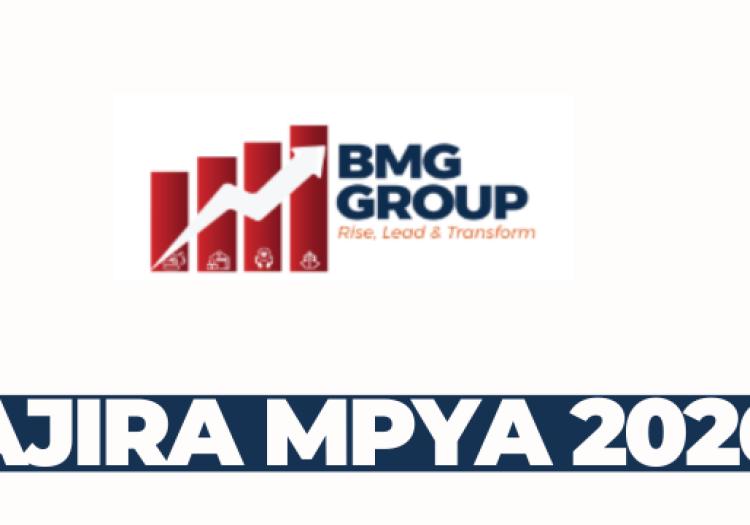 Finance Manager at BMG Group International Limited