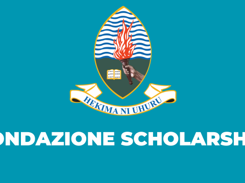 Fondazione Scholarship Opportunity at University of Dar es Salaam 2025