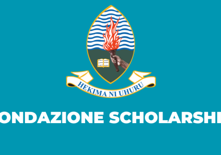 Fondazione Scholarship Opportunity at University of Dar es Salaam 2025