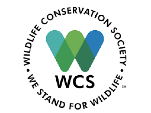 GIS Database Officer at Wildlife Conservation Society January 2026