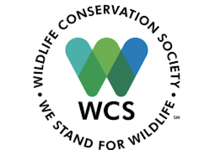 GIS Database Officer at Wildlife Conservation Society January 2026