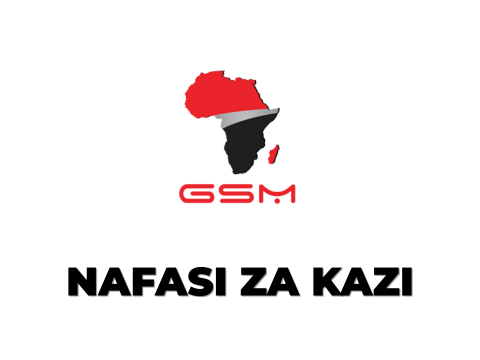 GSM Group Tanzania Vacancies 2025