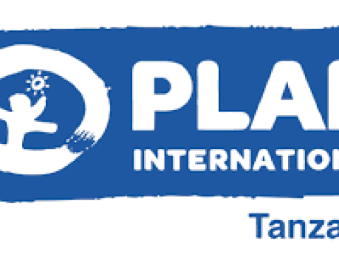 Gender & SRHR Advisor at Plan International Tanzania – January 2026