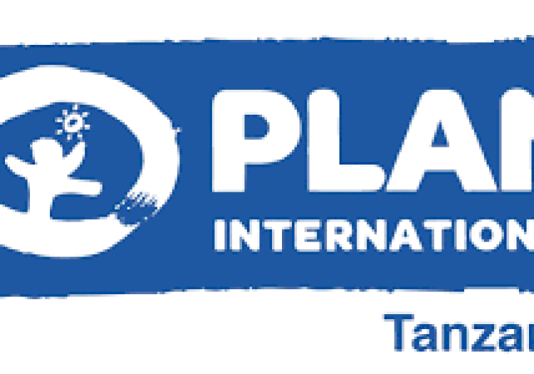 Gender & SRHR Advisor at Plan International Tanzania – January 2026