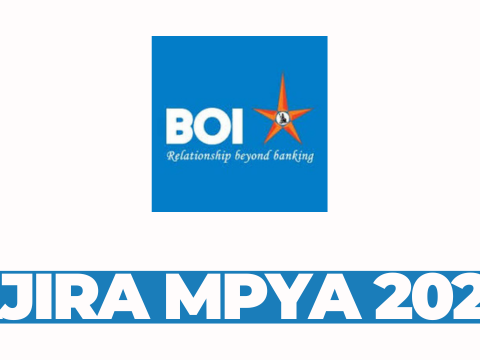 General Manager at Bank of India (Tanzania) Ltd March 2026