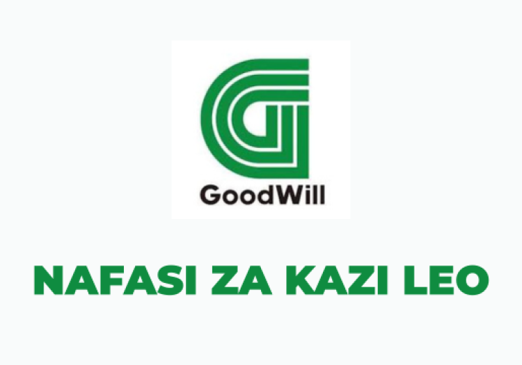 Goodwill Ceramics Vacancies 2025