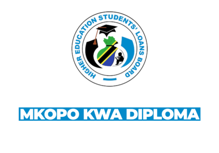 HESLB Opens March Intake Loan Applications for 2025/2026 Diploma Students