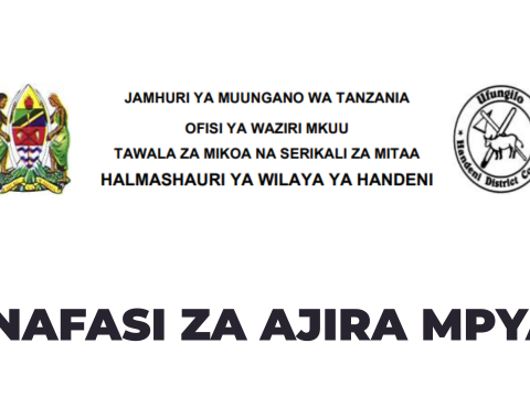 Handeni District Council Vacancies 2026