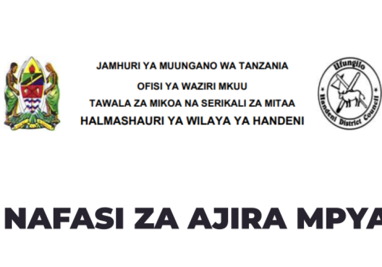 Handeni District Council Vacancies 2026