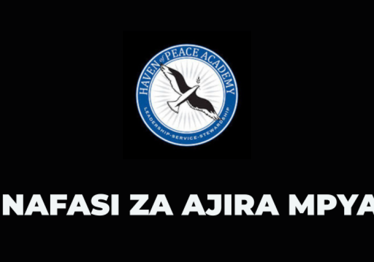 Haven of Peace Academy Vacancies 2025