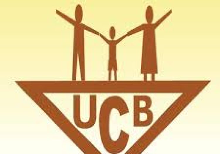 Head of Credit at Uchumi Commercial Bank Limited January 2026