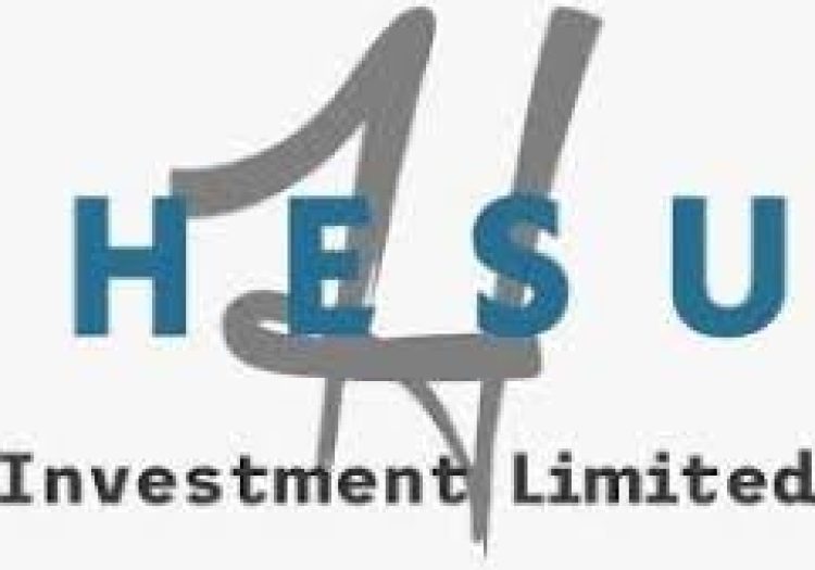 Heavy Duty Mechanic at Hesu Investment Ltd February 2026