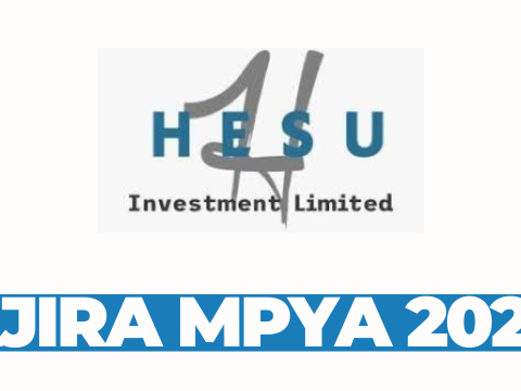 Heavy Duty Mechanic at Hesu Investment Ltd March 2026