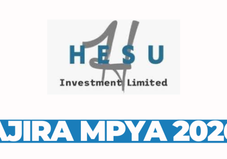 Heavy Duty Mechanic at Hesu Investment Ltd March 2026