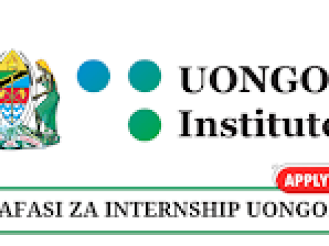 ICT Intern at UONGOZI Institute - January 2026