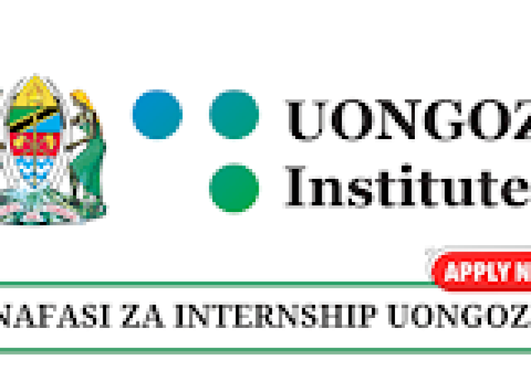ICT Intern at UONGOZI Institute - January 2026