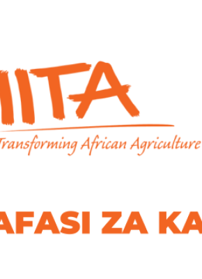 IITA Tanzania Vacancies 2025
