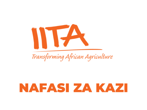 IITA Tanzania Vacancies 2025