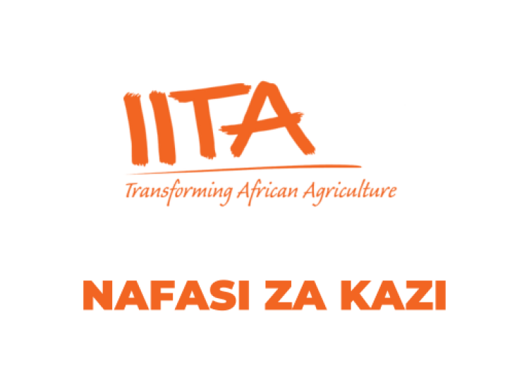 IITA Tanzania Vacancies 2025