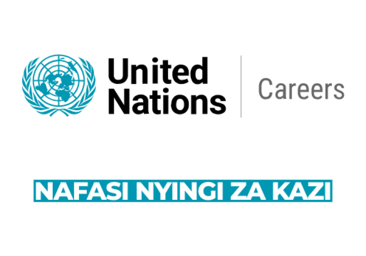 IRMCT Tanzania Vacancies 2026