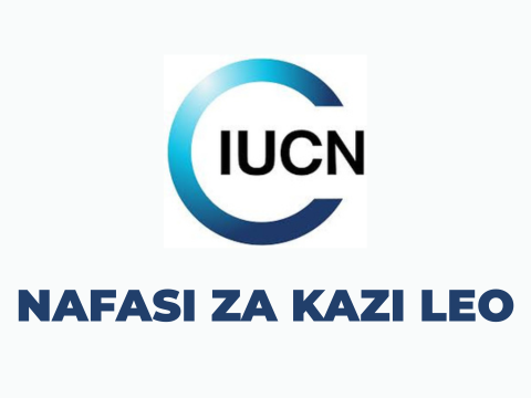 IUCN Tanzania Vacancies 2025