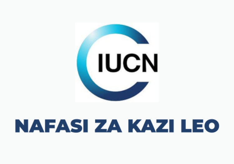 IUCN Tanzania Vacancies 2025
