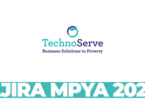 Inclusive Investment Senior Manager – TechnoServe Tanzania – March 2026