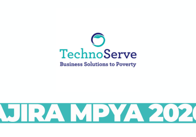 Inclusive Investment Senior Manager – TechnoServe Tanzania – March 2026