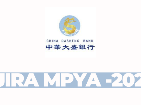 Independent Non-Executive Director Opportunity – China Dasheng Bank Limited (February 2026)