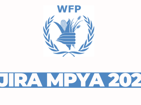 Intern (Project Management and Coordination Support) at WFP February 2026