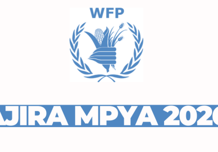 Intern (Project Management and Coordination Support) at WFP February 2026