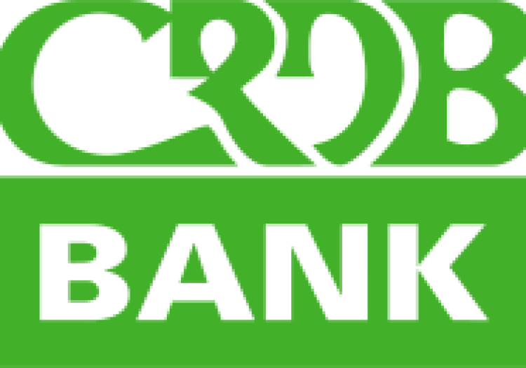 Islamic Banking Business Development Officer – CRDB Bank January 2026