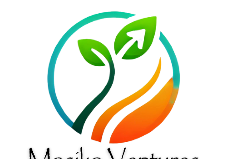 Junior Technical Officer at Masika Ventures January 2026