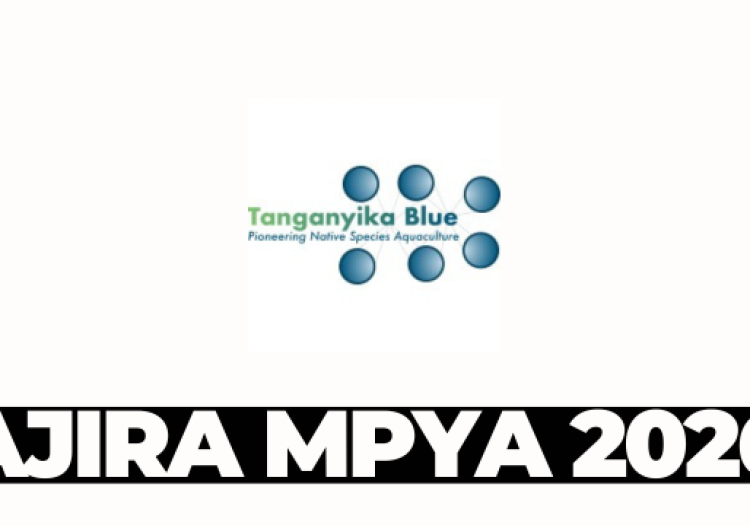 Junior Technical Officer at Tanganyika Blue February 2026