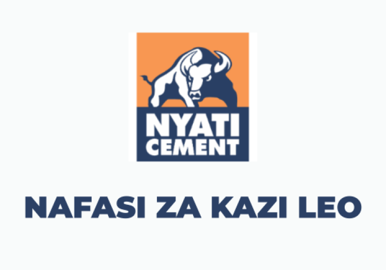 Lake Cement Ltd Vacancies 2025