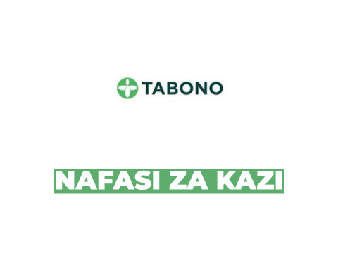 Land Surveyors at Tabono Consult March 2026