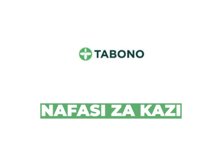 Land Surveyors at Tabono Consult March 2026