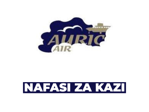 Librarian Vacancy at Auric Air