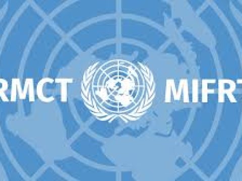 Library Intern – Office of the Registrar at IRMCT February 2026