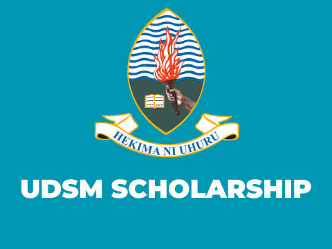 MSc Scholarship Opportunities at University of Dar es Salaam 2025/2026